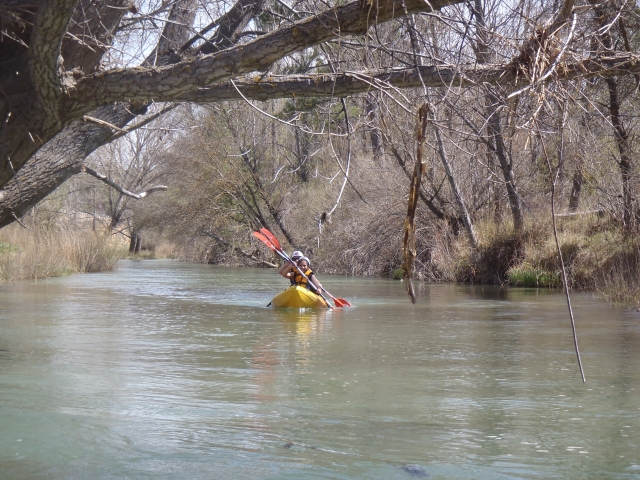  Calm waters in canoes 
